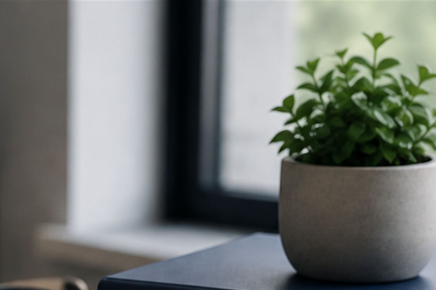 Plante dans un bureau professionnel lumineux, ambiance de pilotage administratif structuré